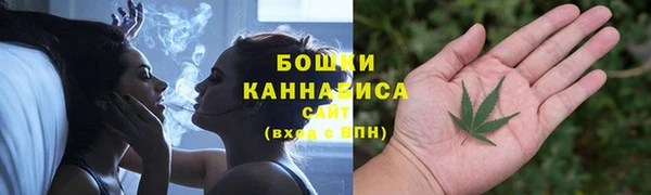 ECSTASY Лагань
