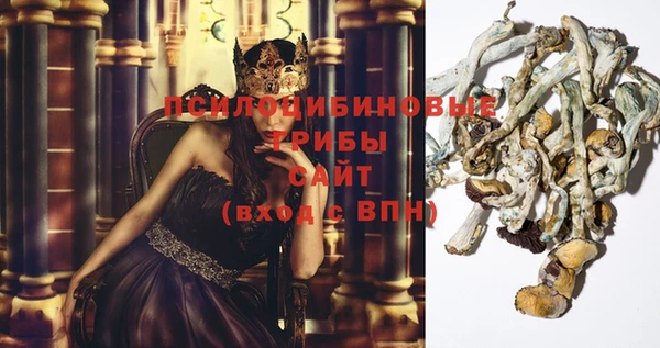 эйфоретик Ладушкин