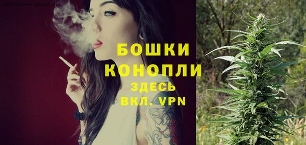 эйфоретик Ладушкин