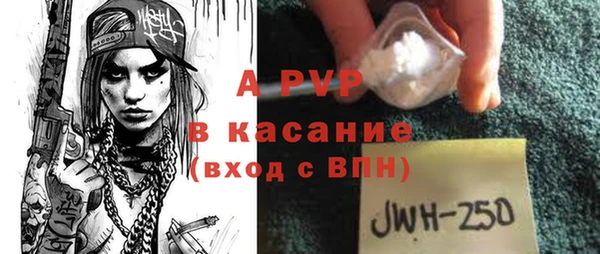 ECSTASY Лагань