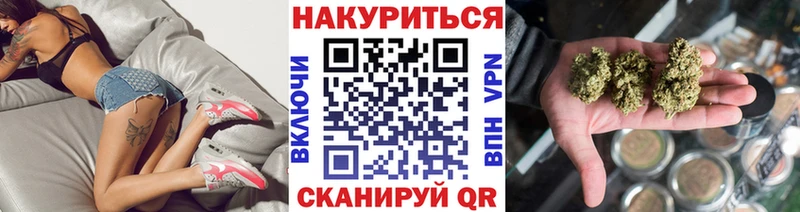 Бошки Шишки планчик  Купить  Куровское 